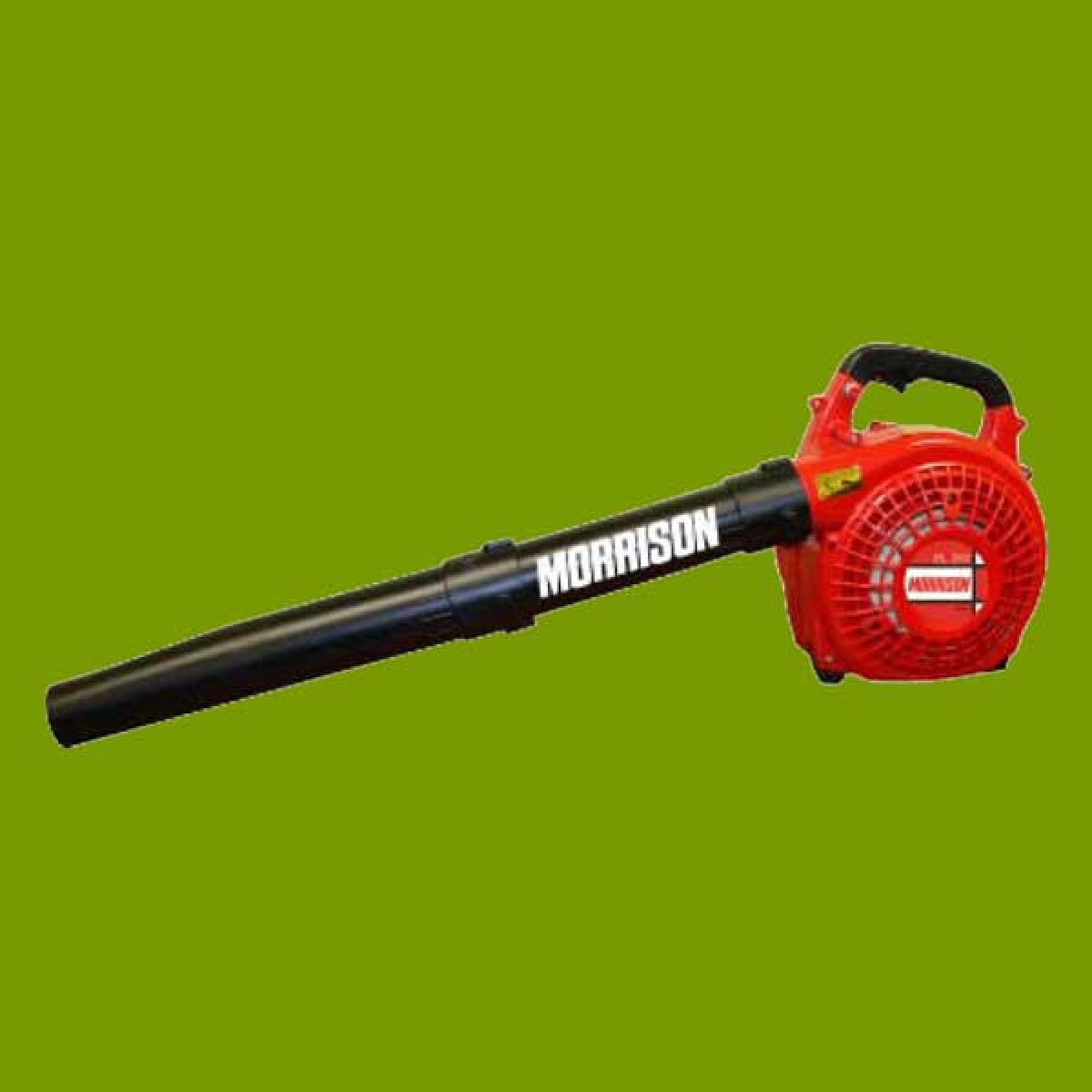 Morrison Genuine BL260 Professional Petrol Blower 552432 Buy Online